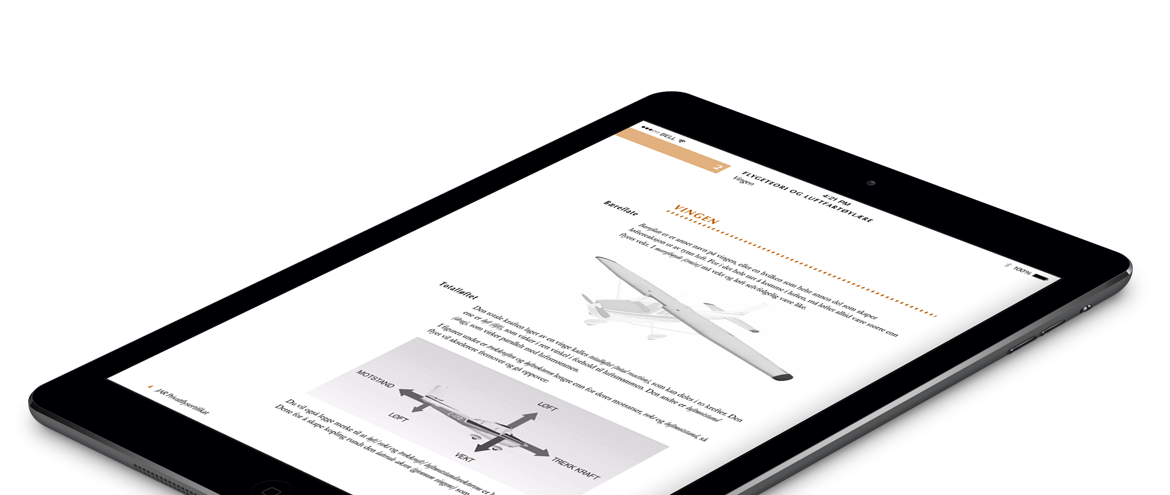 Privatfly Nettskolen på iPad